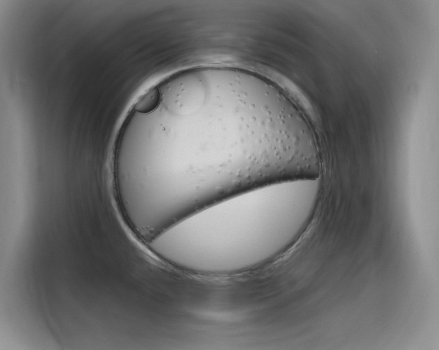 X0000116141432200911230923