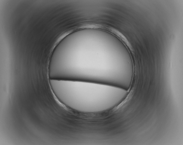 X0000116141433200911230923