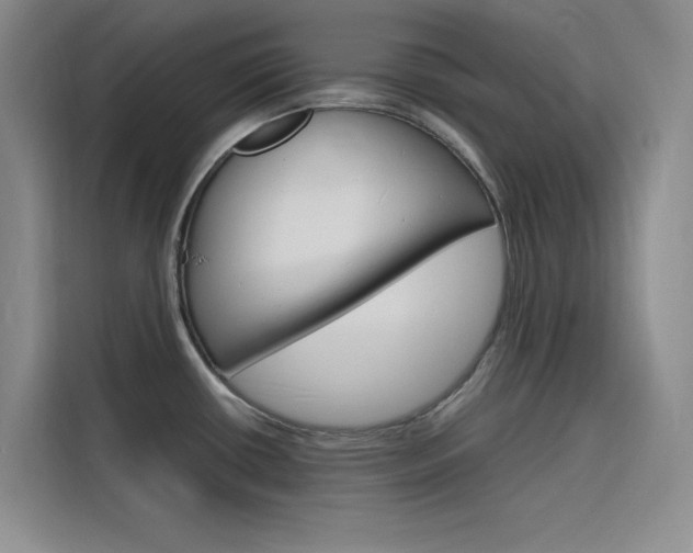 X0000116141434200911230923