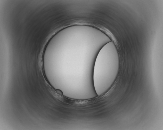 X0000116141435200911230923