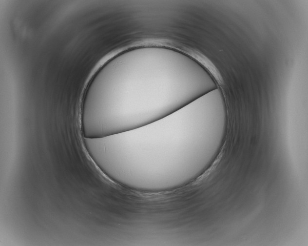 X0000116141436200911230923