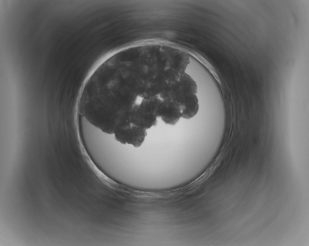 X0000116141438200911230923
