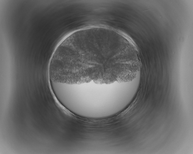X0000116141439200911230923