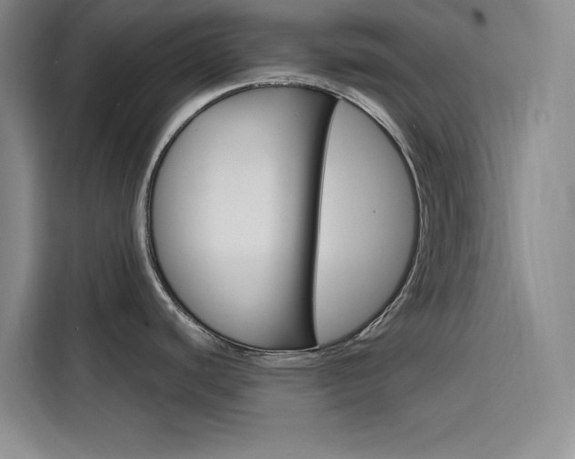 X0000116141440200911230923