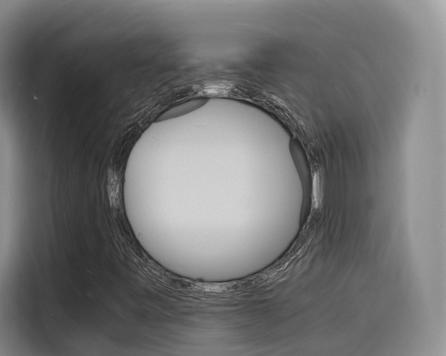 X0000116141443200911230922