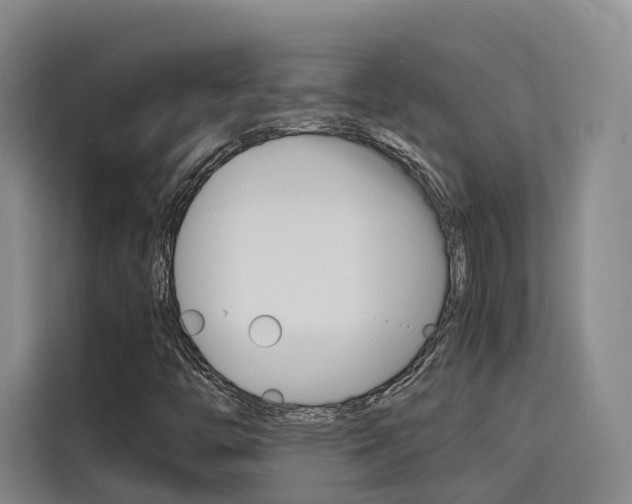 X0000116141446200911230922