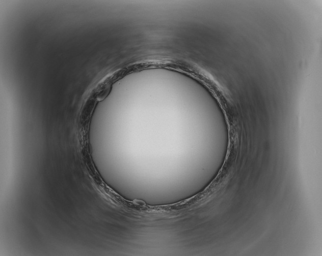 X0000116141448200911230922