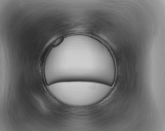 X0000116141450200911230922