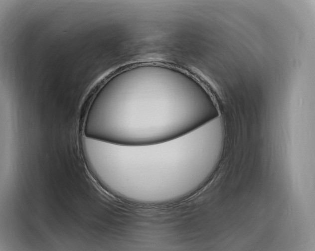 X0000116141452200911230922