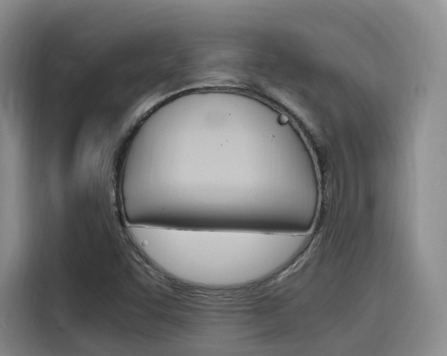 X0000116141455200911230922