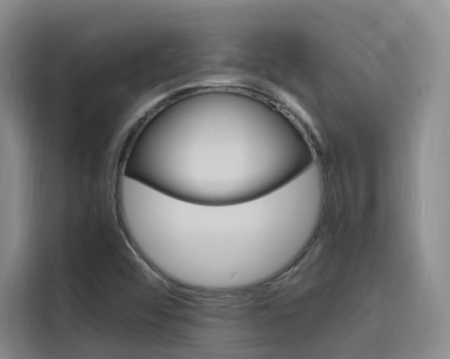 X0000116141456200911230922