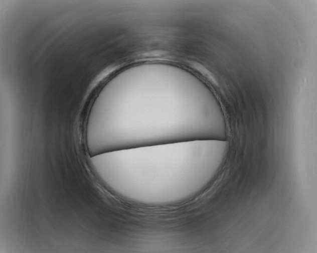 X0000116141458200911230922