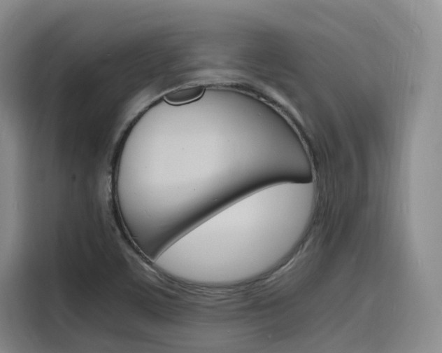 X0000116141459200911230922
