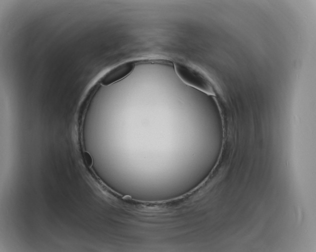 X0000116141460200911230922