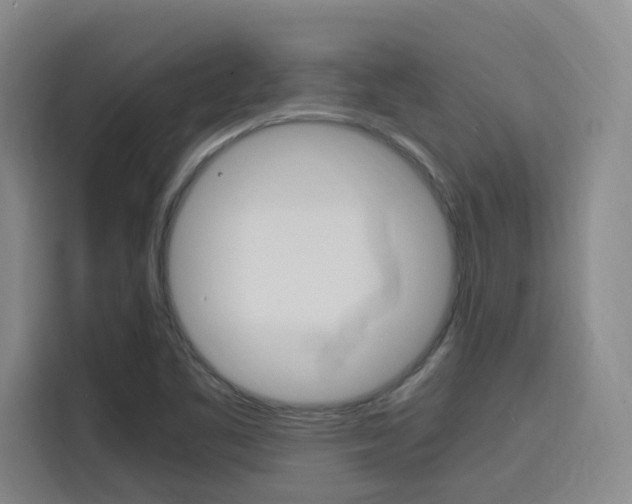 X0000116141461200911230922