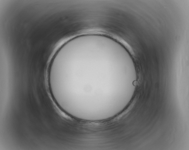 X0000116141470200911230922