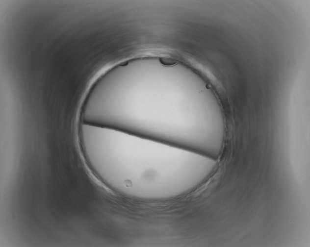 X0000116141471200911230922