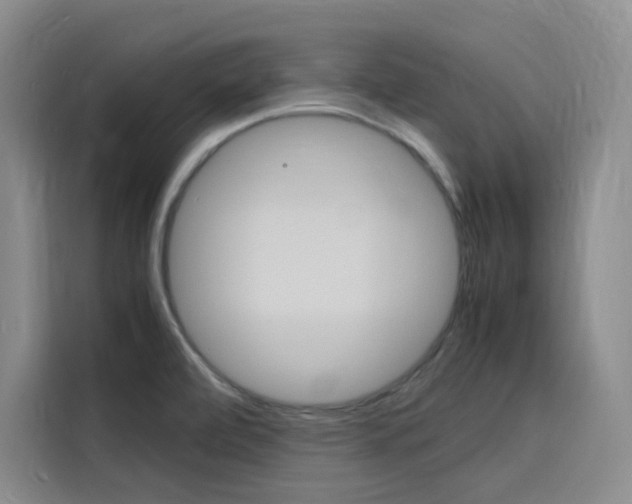 X0000116141472200911230922