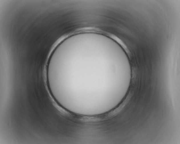 X0000116141474200911230922