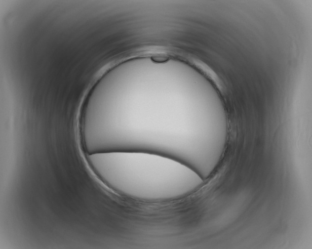 X0000116141475200911230922