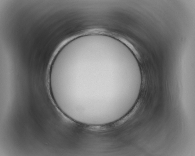 X0000116141478200911230922