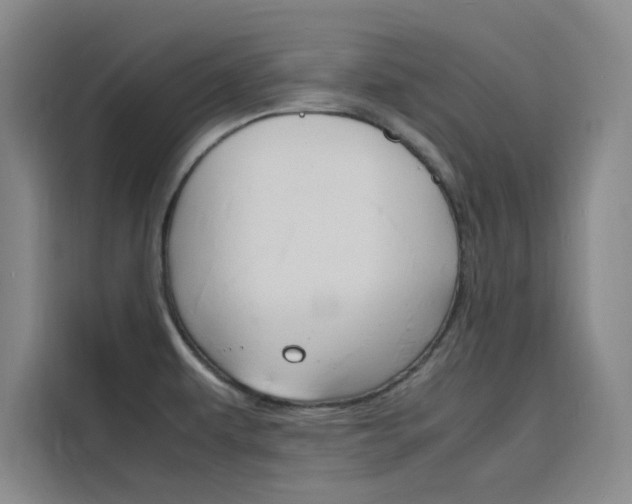 X0000116141479200911230922