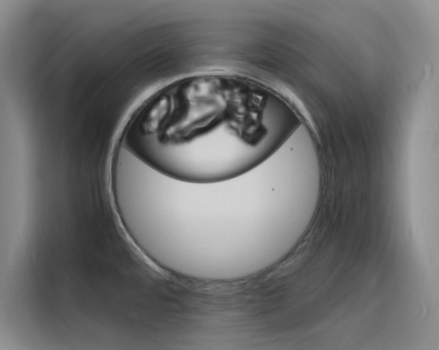 X0000116141480200911230922