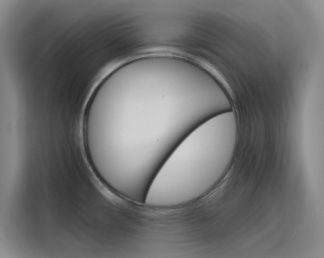 X0000116141482200911230922