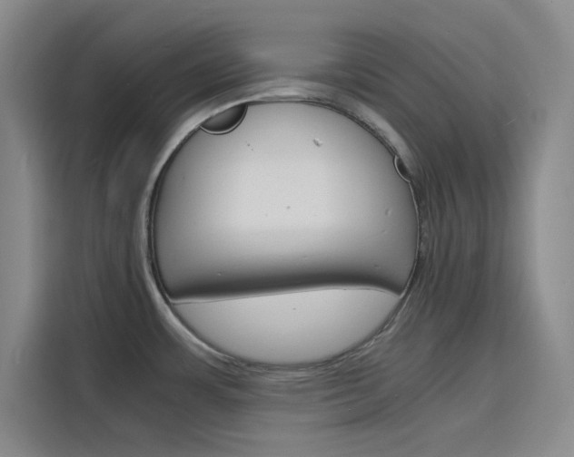X0000116141483200911230922