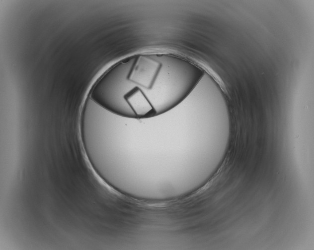 X0000116141484200911230921