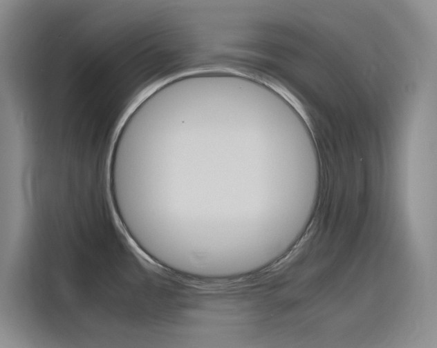 X0000116141485200911230921