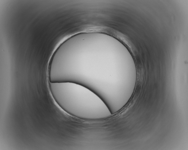 X0000116141487200911230921