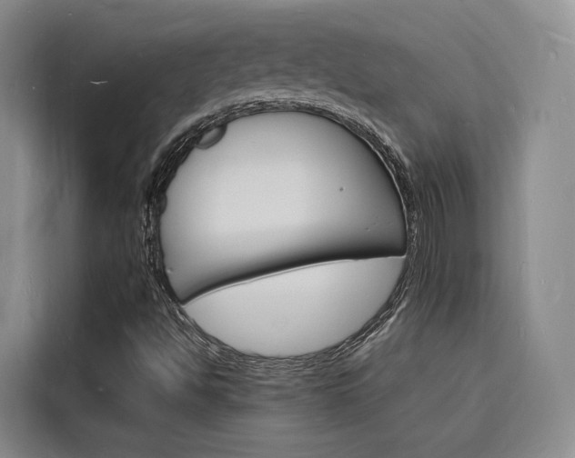 X0000116141494200911230921