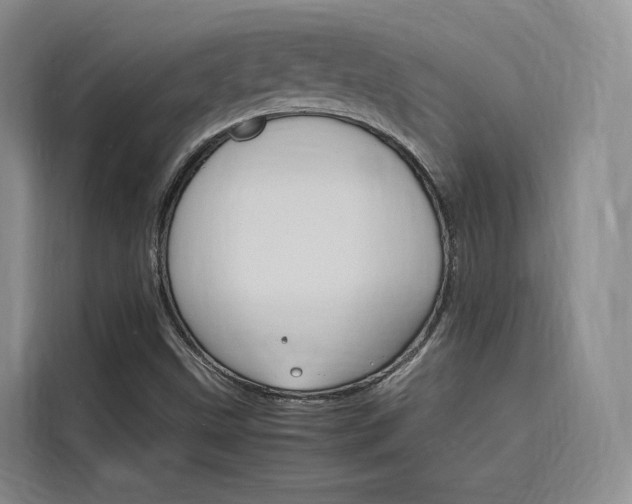 X0000116141499200911230921