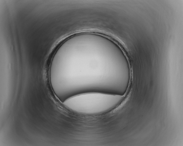 X0000116141501200911230921