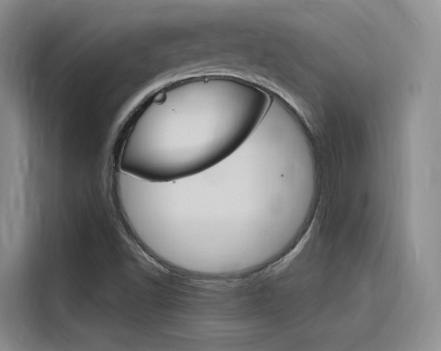 X0000116141502200911230921