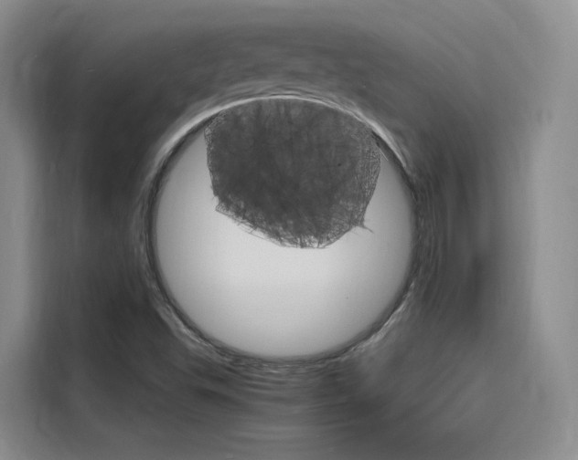 X0000116141503200911230921