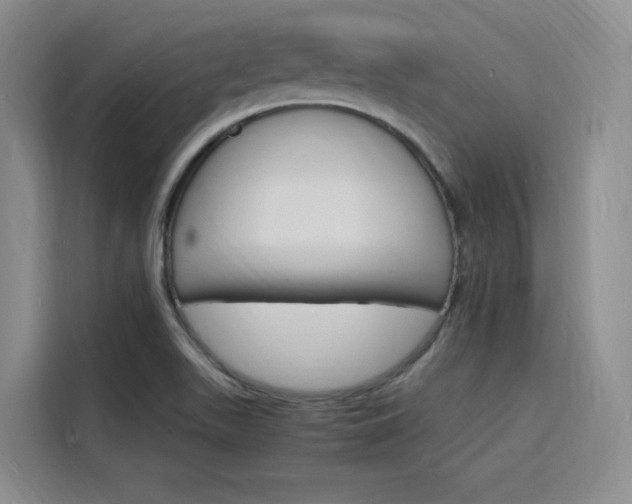 X0000116141511200911230921