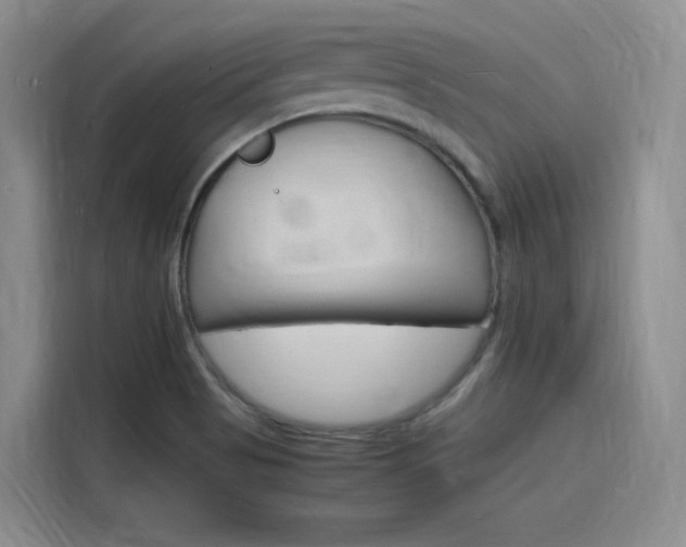 X0000116141513200911230921