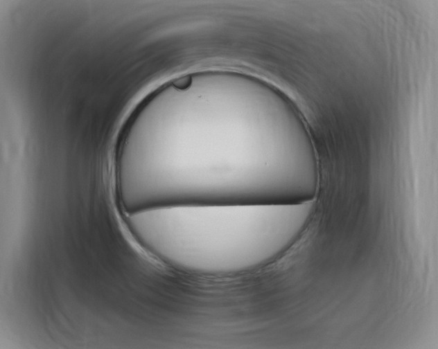 X0000116141515200911230921
