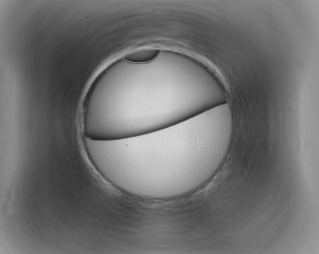 X0000116141522200911230921