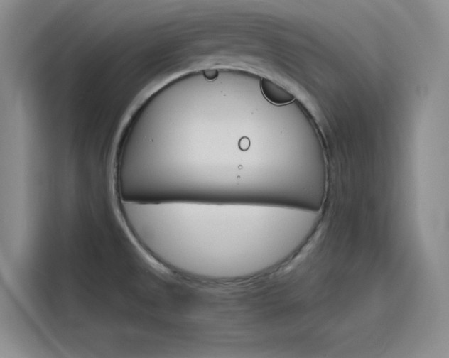 X0000116141525200911230921