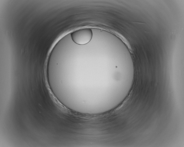 X0000116141530200911230921