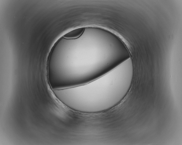 X0000116141534200911230921