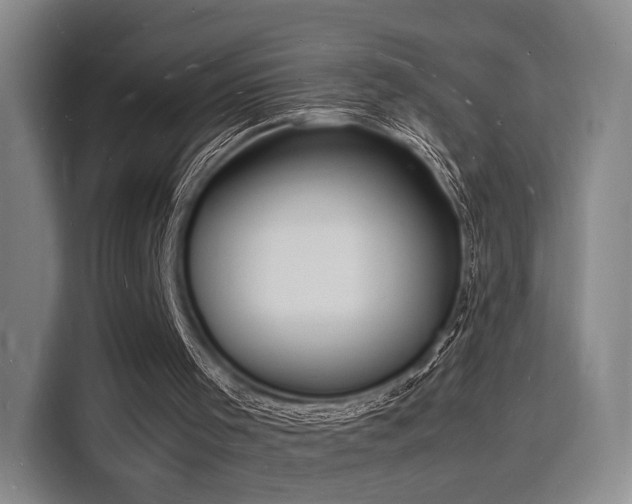 X0000116140001200911231320