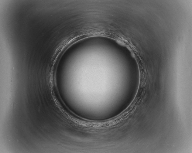 X0000116140002200911231320