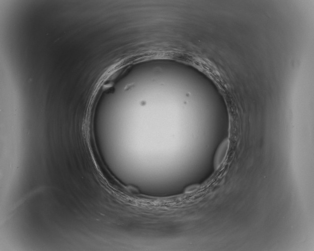 X0000116140003200911231320