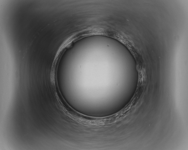 X0000116140004200911231320