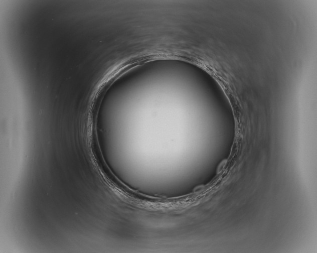 X0000116140005200911231320
