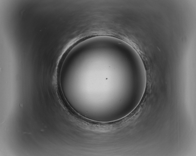 X0000116140008200911231320